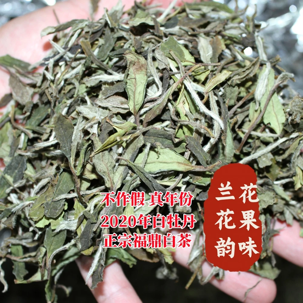 2020年经典老树白牡丹 福鼎白茶兰花韵花香白牡丹鲜爽甘甜花蜜香