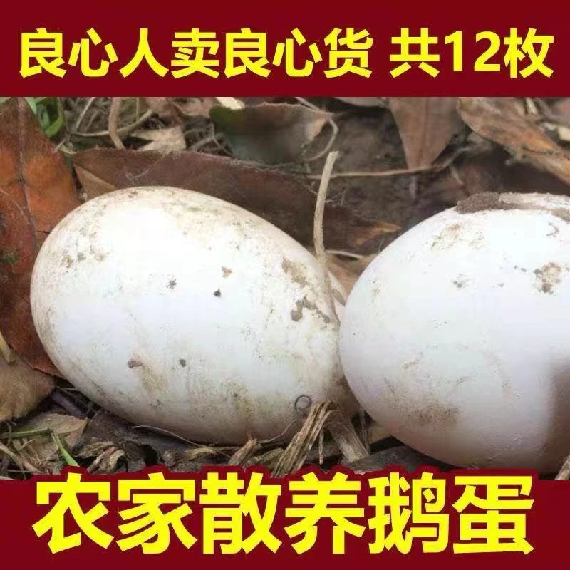 正宗农家粮食散养土鹅蛋