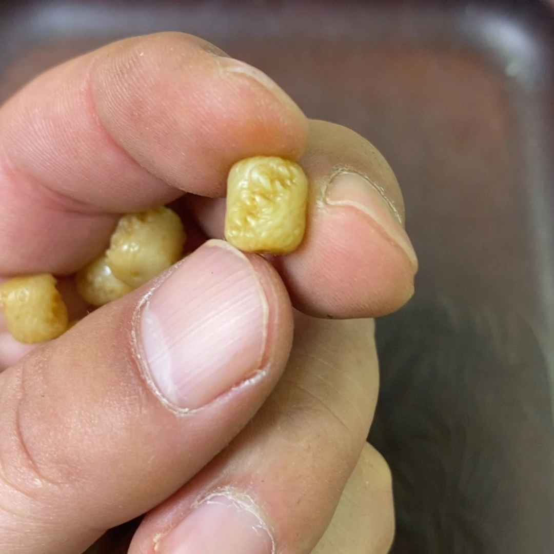 手串/手链驼骨配饰169尺寸0.9