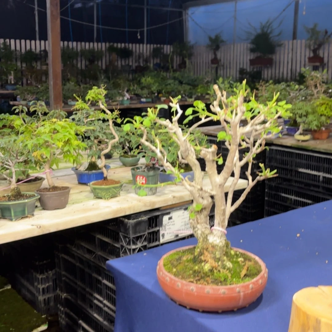 全场福利活动的组织好吧