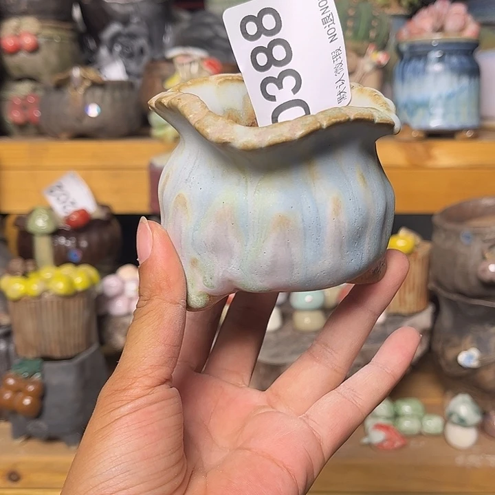 这个世界就是说什么呢385