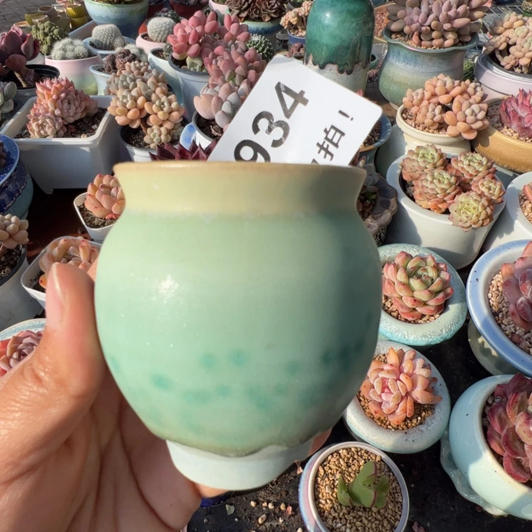 特价花盆满50发货 或随单发