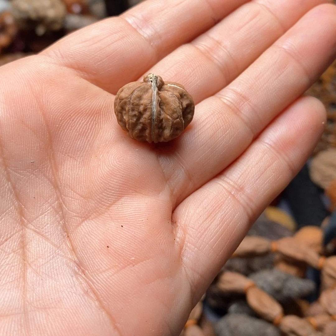 文玩核桃吊坠核桃54