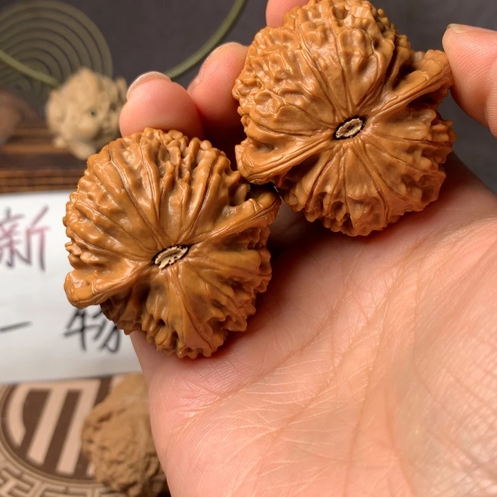 白***尘金麒麟47月在广州的演出将