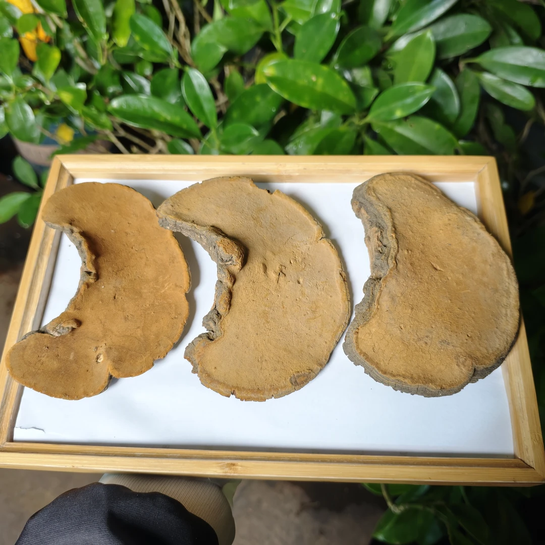 1【桑-黄】净含量250g-1000g【阿虎现收】粮