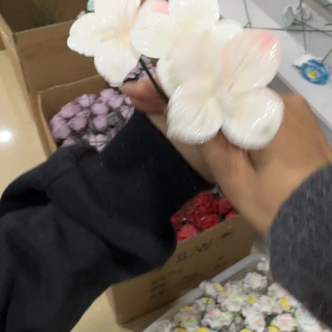 拍满20包邮，退款拉黑1朵