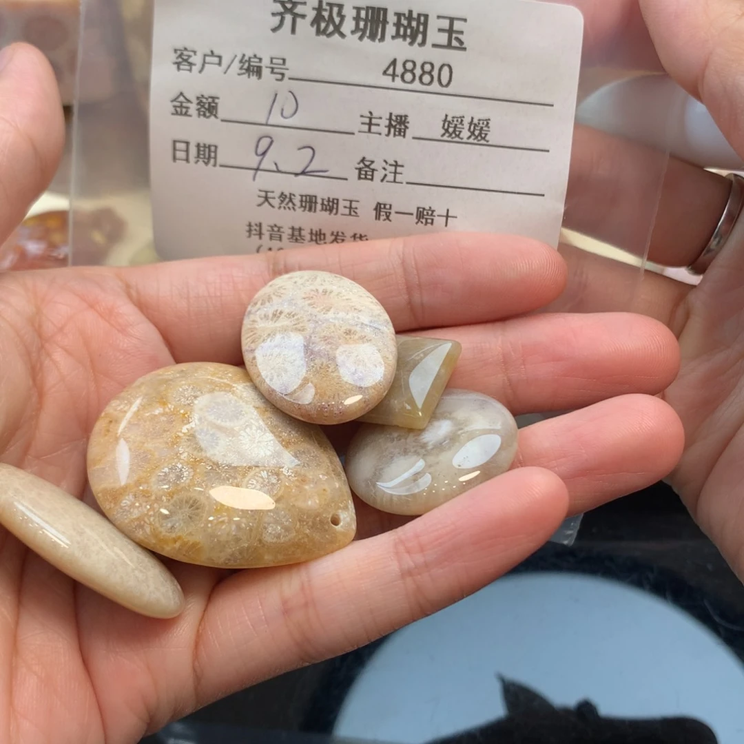 颈饰未镶嵌硅化珊瑚（珊瑚玉）桃**?