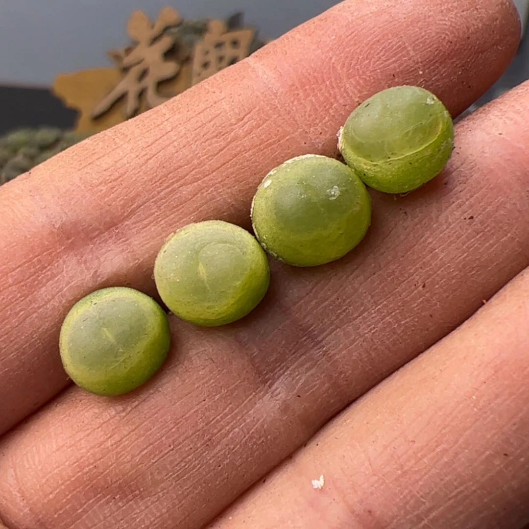 【闪购商品】0000000013