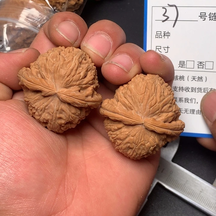 文玩核桃把件42白狮子37