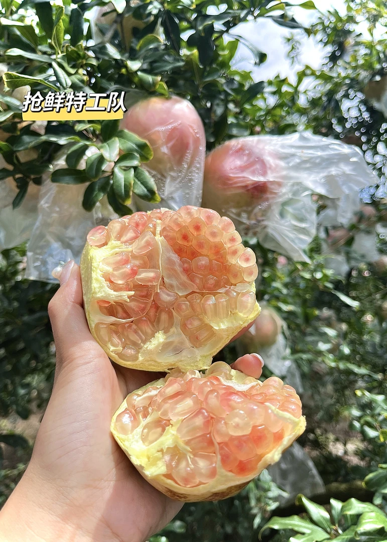 云南蒙自薄皮水晶甜石榴颗粒饱满皮薄多汁蒙自石榴