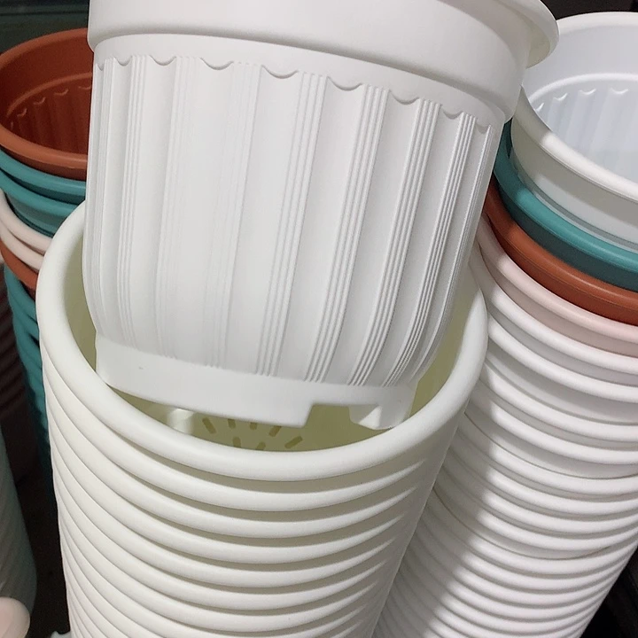 罗马口24高20白4个无托