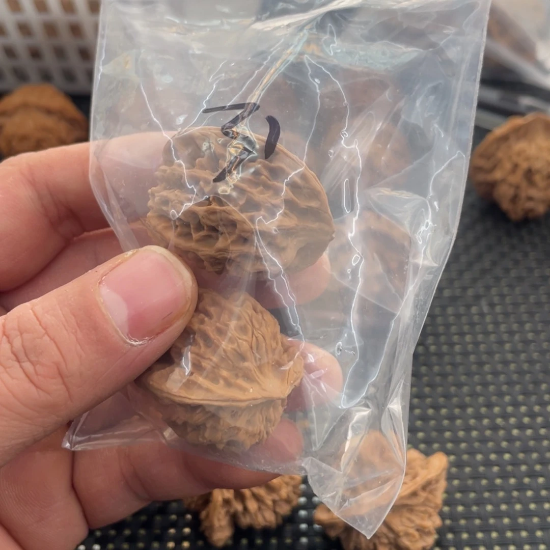 秦岭的小王核桃啊啊啊