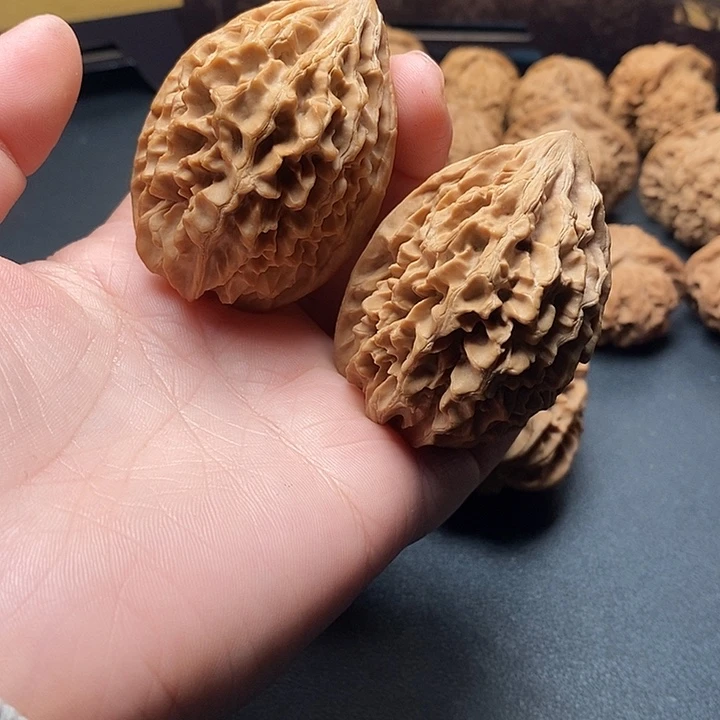 ****龙全品无修招财鼠42