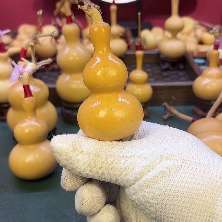 叫*么葫芦葫芦葫芦葫芦剧葫芦