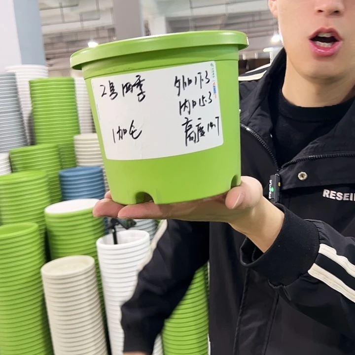 特价2号四季口17.3高14.7绿色无托10只