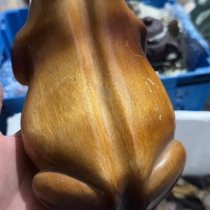 香榧木任*遥Chghghghghghg