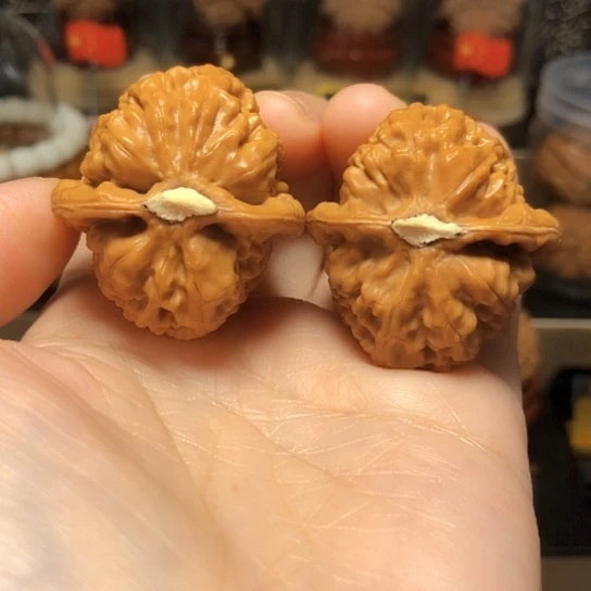 野生小众：精品红莲