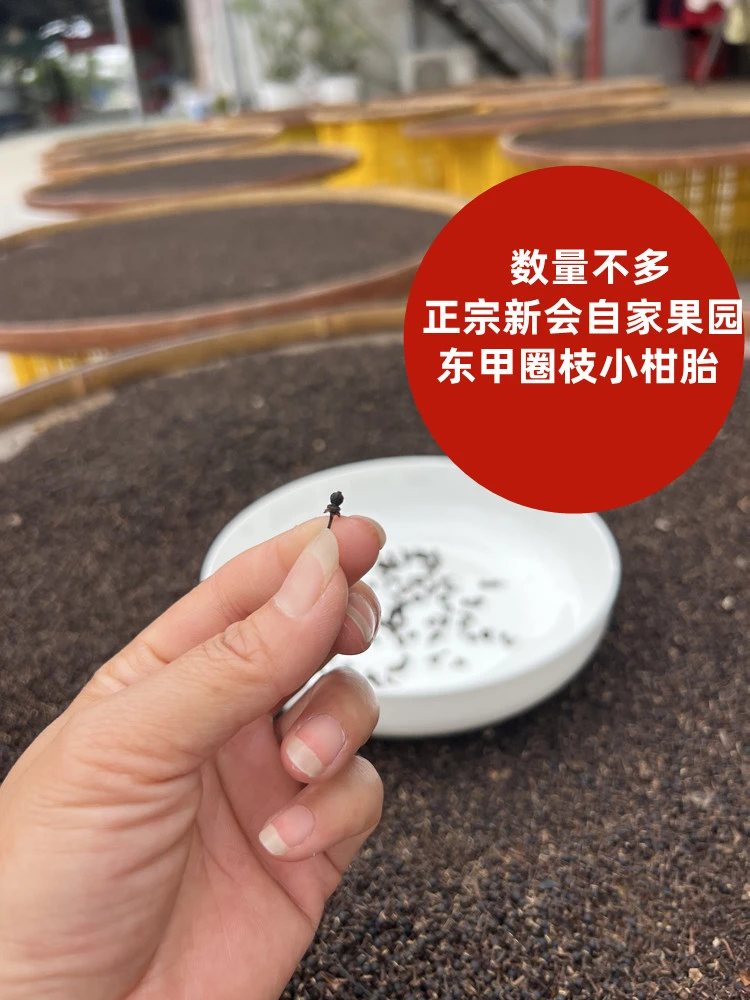 正宗2025年东甲圈枝老树火柴大陈皮小乳柑胎泡茶泡水自家果园