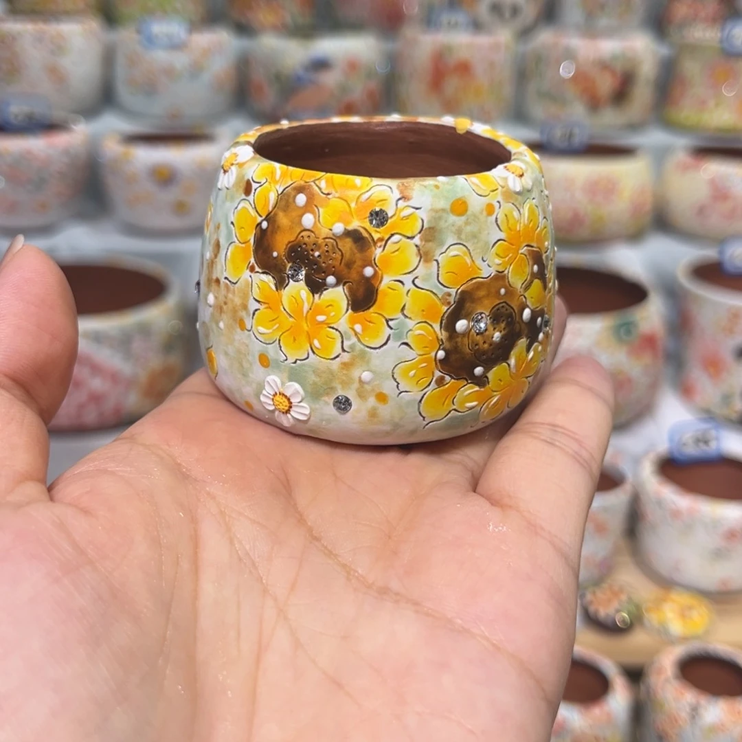 浅***语浅笑不语小盆一个