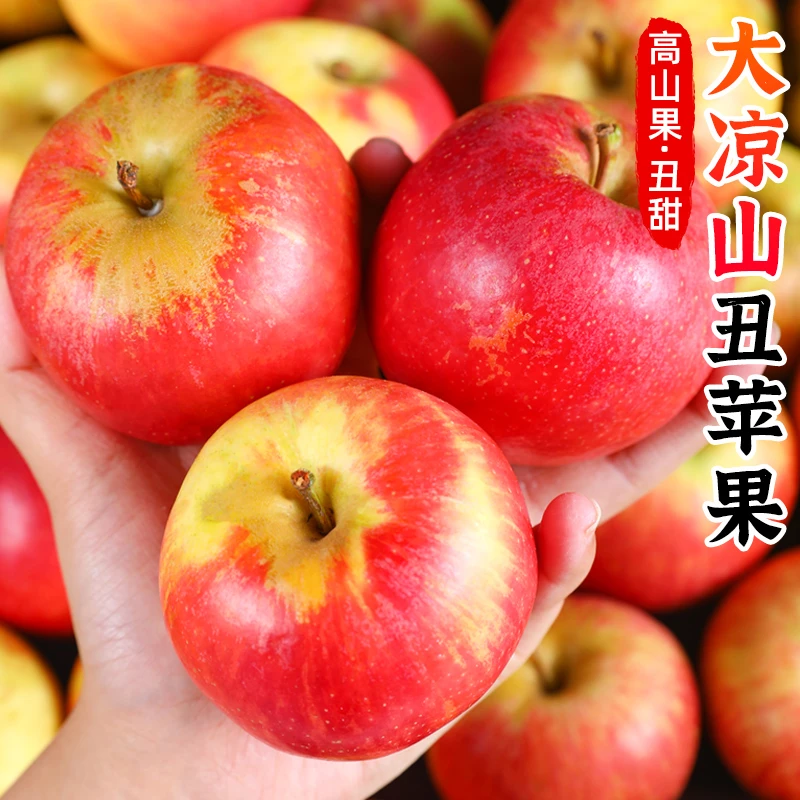 【脆甜多汁】大凉山丑苹果5-8斤新鲜当季水果盐源富士非昭通苹果