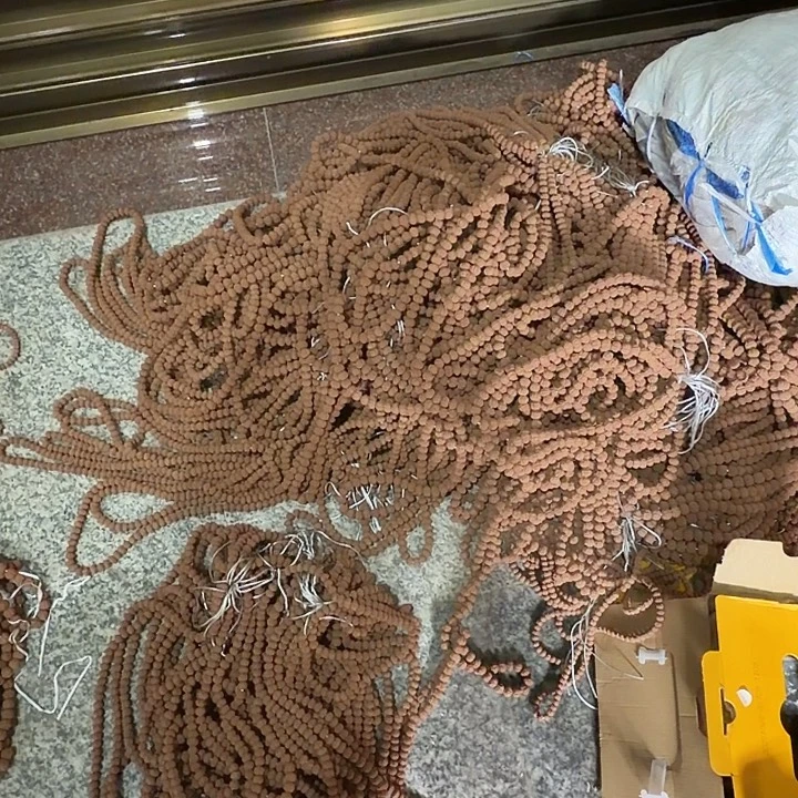 吊坠金刚菩提心想树成