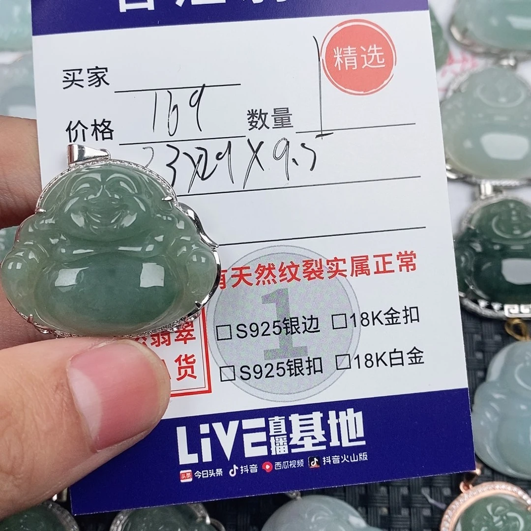 翡翠银S925镶嵌颈饰