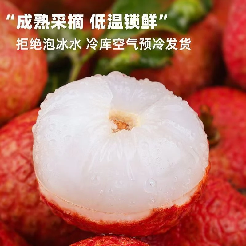 【空运直达】正宗白糖罂白糖荔枝新鲜现摘当季水果鲜嫩多汁