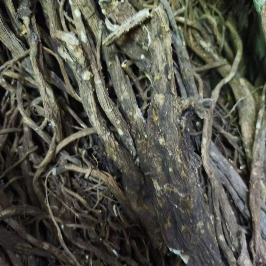 【袁瑞泽推荐】 当归 藏山货