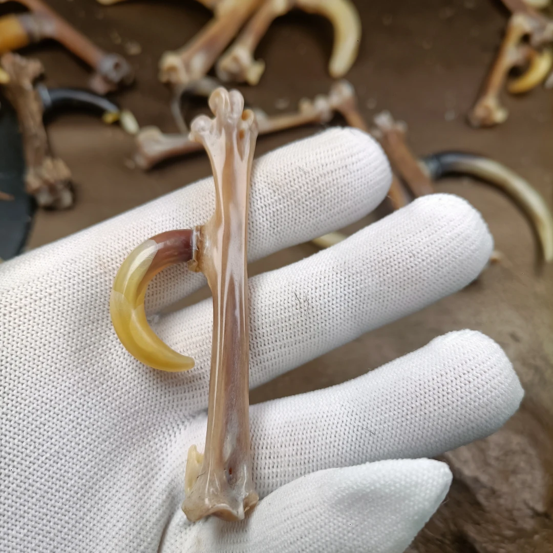 个性黄弯钩造型鸡爪骨手把件单只