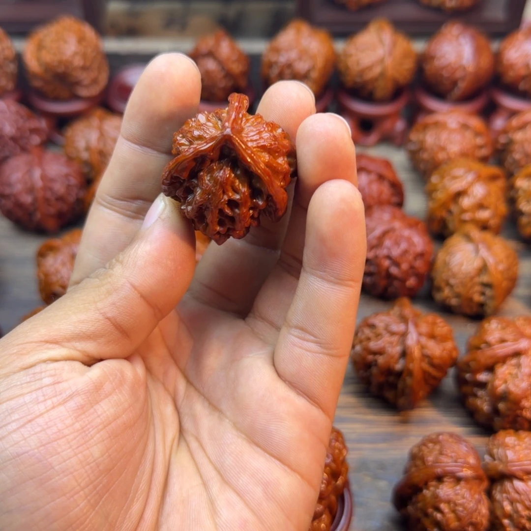 L***X菩提籽类三棱宝贝宝贝