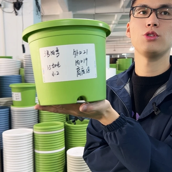 特价3号四季口21高18果绿无托10只