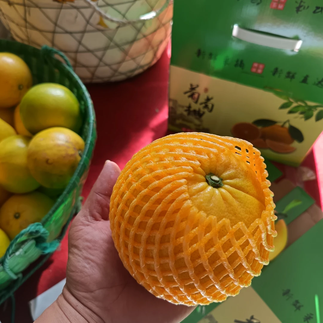 当季新鲜玉环葡萄柚孕妇水果香甜多汁