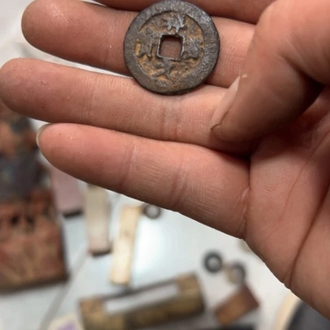 杂色豆（科檀/科特迪瓦檀木）鱼***快