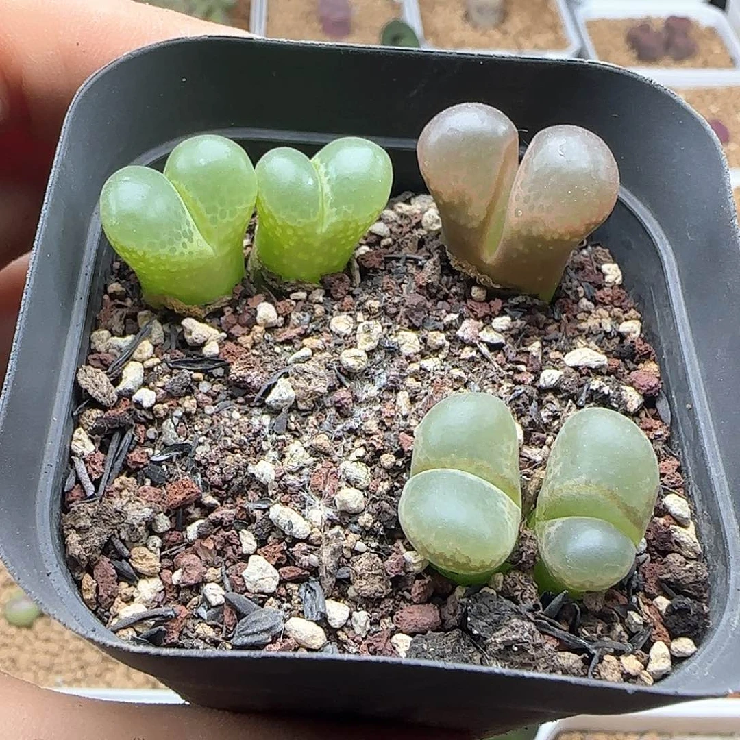 哈哈哈哈哈哈哈46302