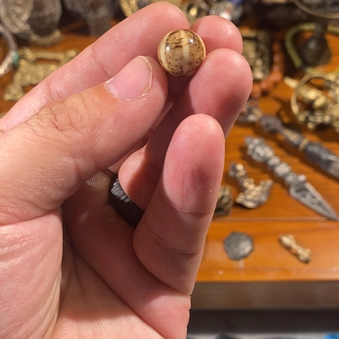 S***n树脂制品邦迪克瓜珠一个