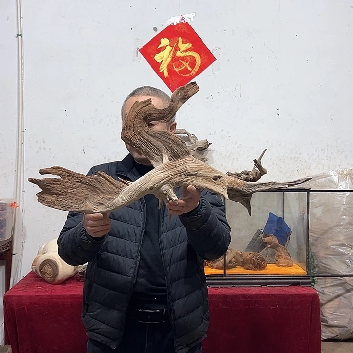 柏木东****馆我们的生活也会变得