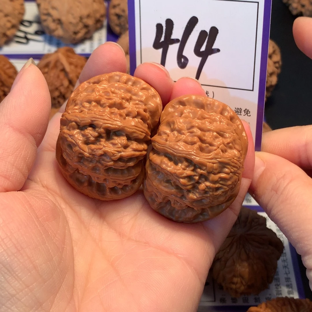 核桃464白狮子4.3