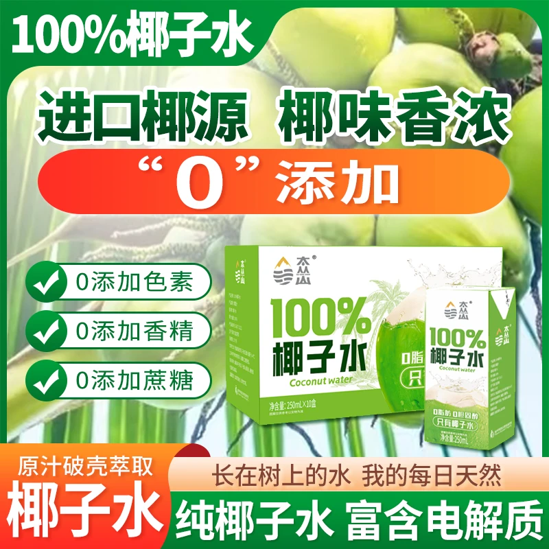 【幻城雨】100%椰子水夏天寝室居家小饮料网红饮品整箱畅饮250ml