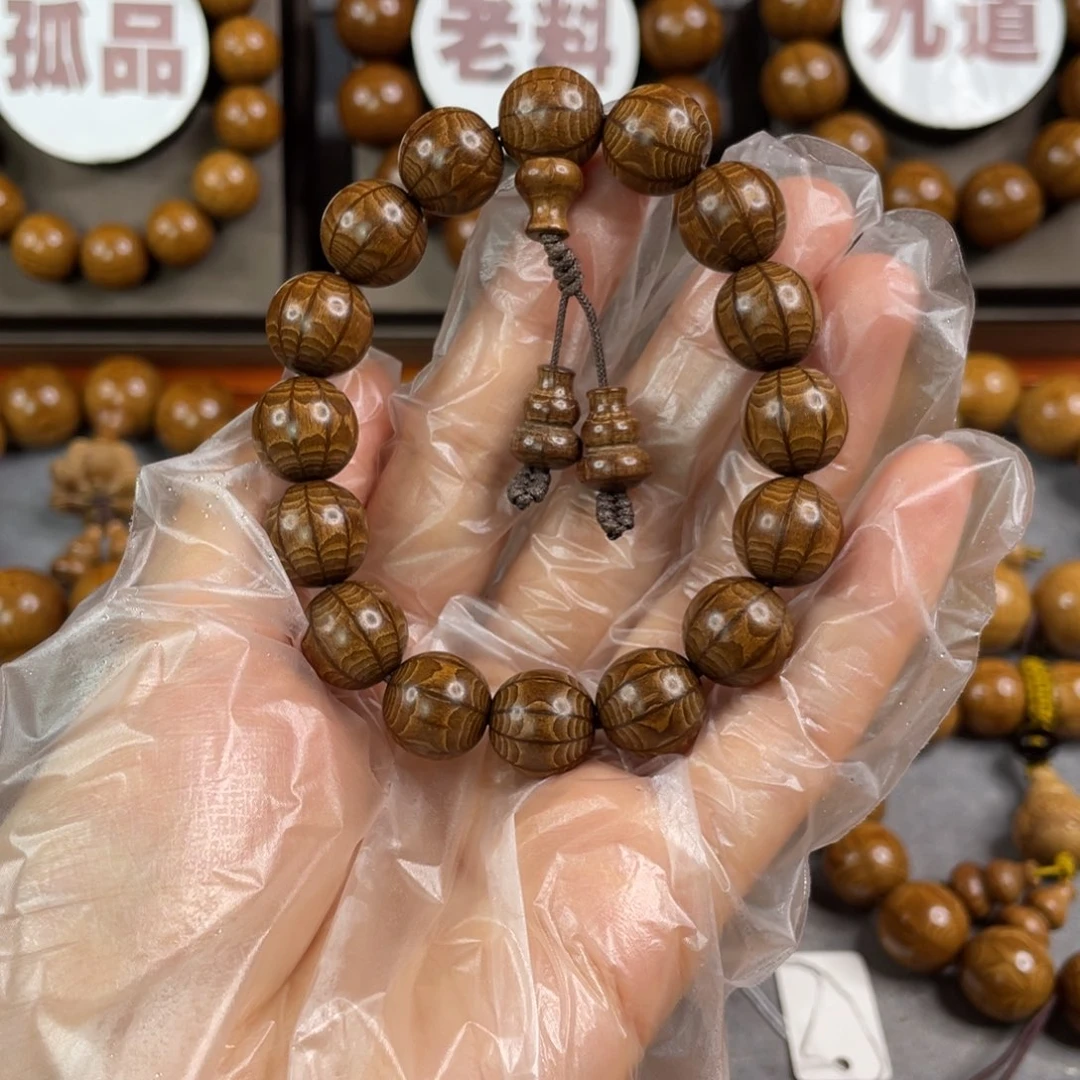 六道木九道 枯树， 毕业1.2