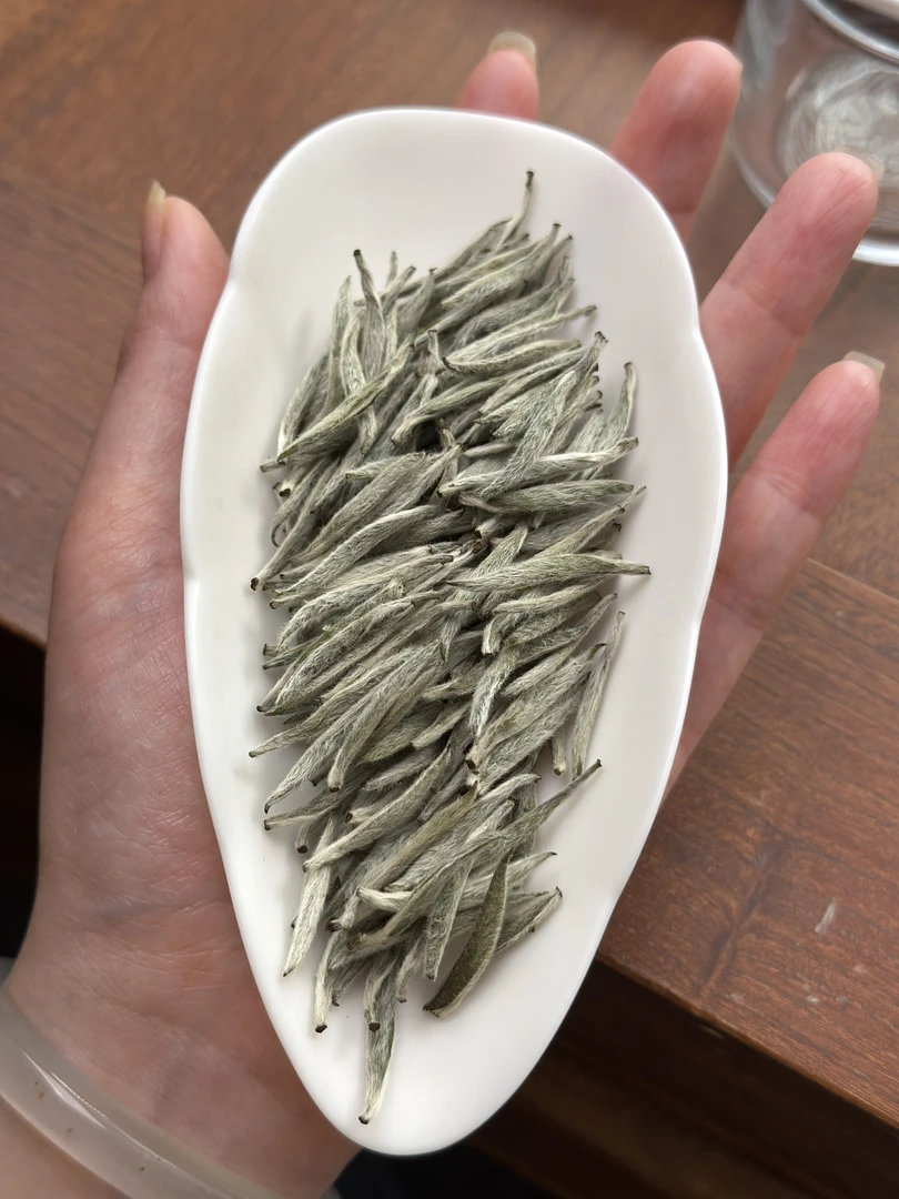 【制茶大师蔡佳亮】2025年百里挑一精挑白毫银针