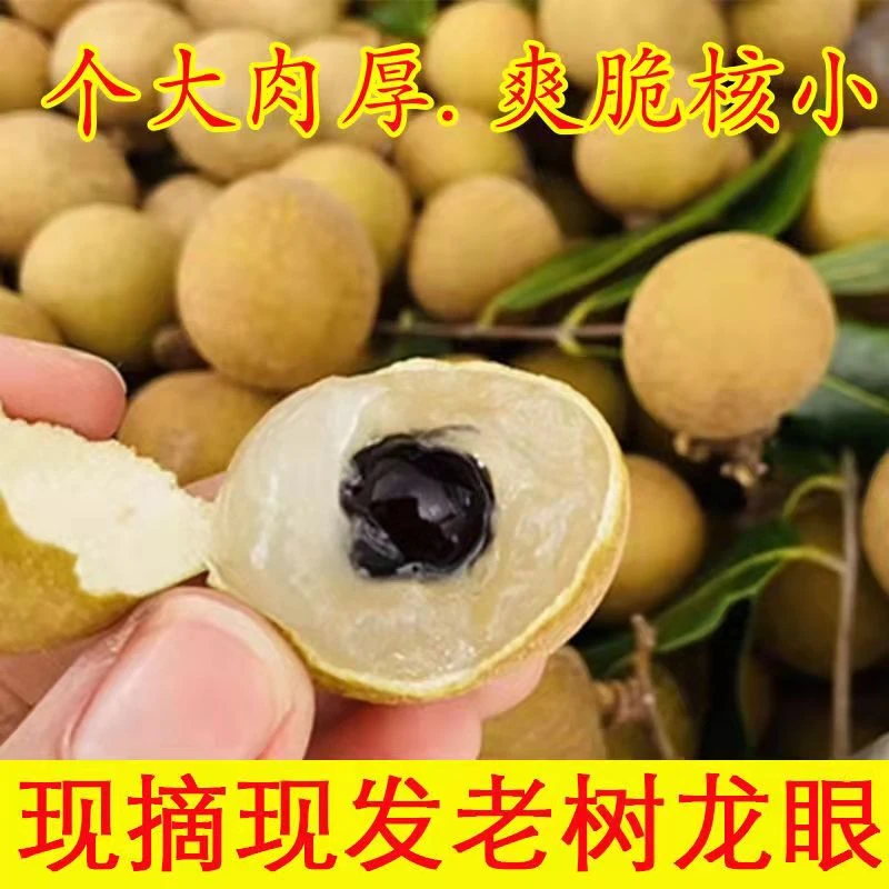 现摘龙眼新鲜整箱当季水果石硖储良桂圆龙眼爆甜3/5斤