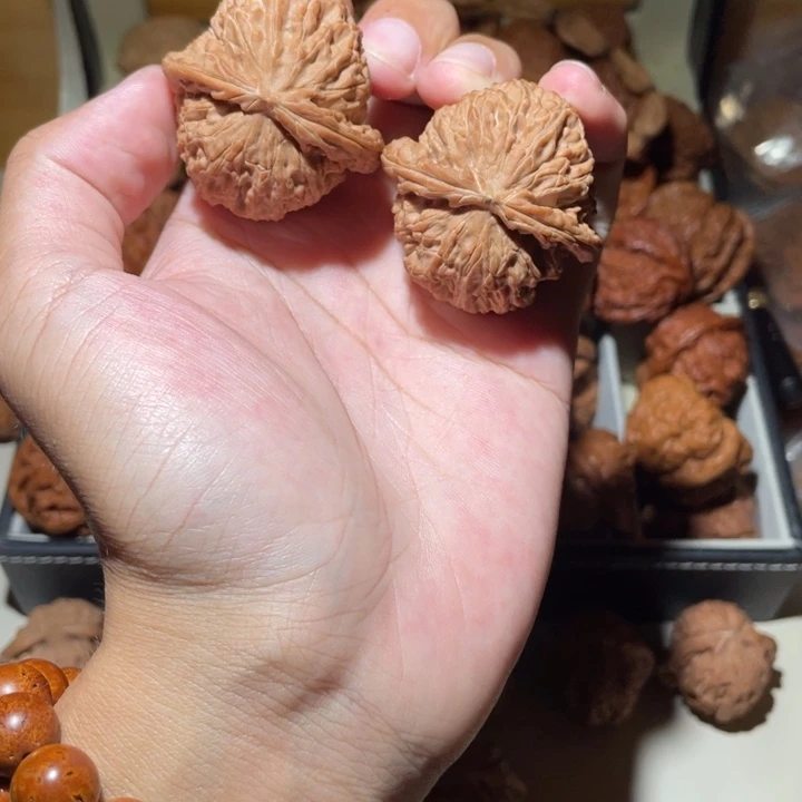 42尺寸全品无修白狮子