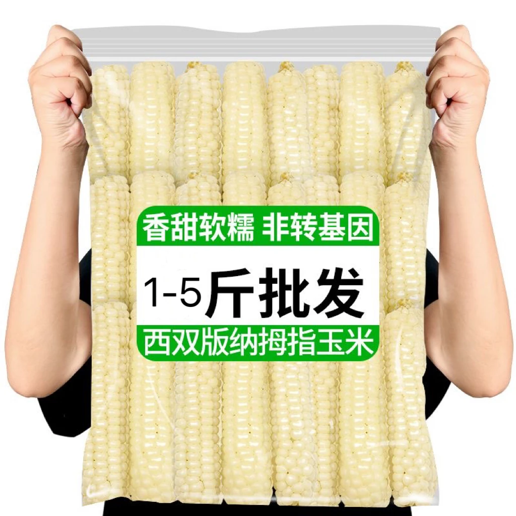 西双版纳拇指小玉米新鲜糯真空包装1斤5斤儿童早餐低脂期非转基因