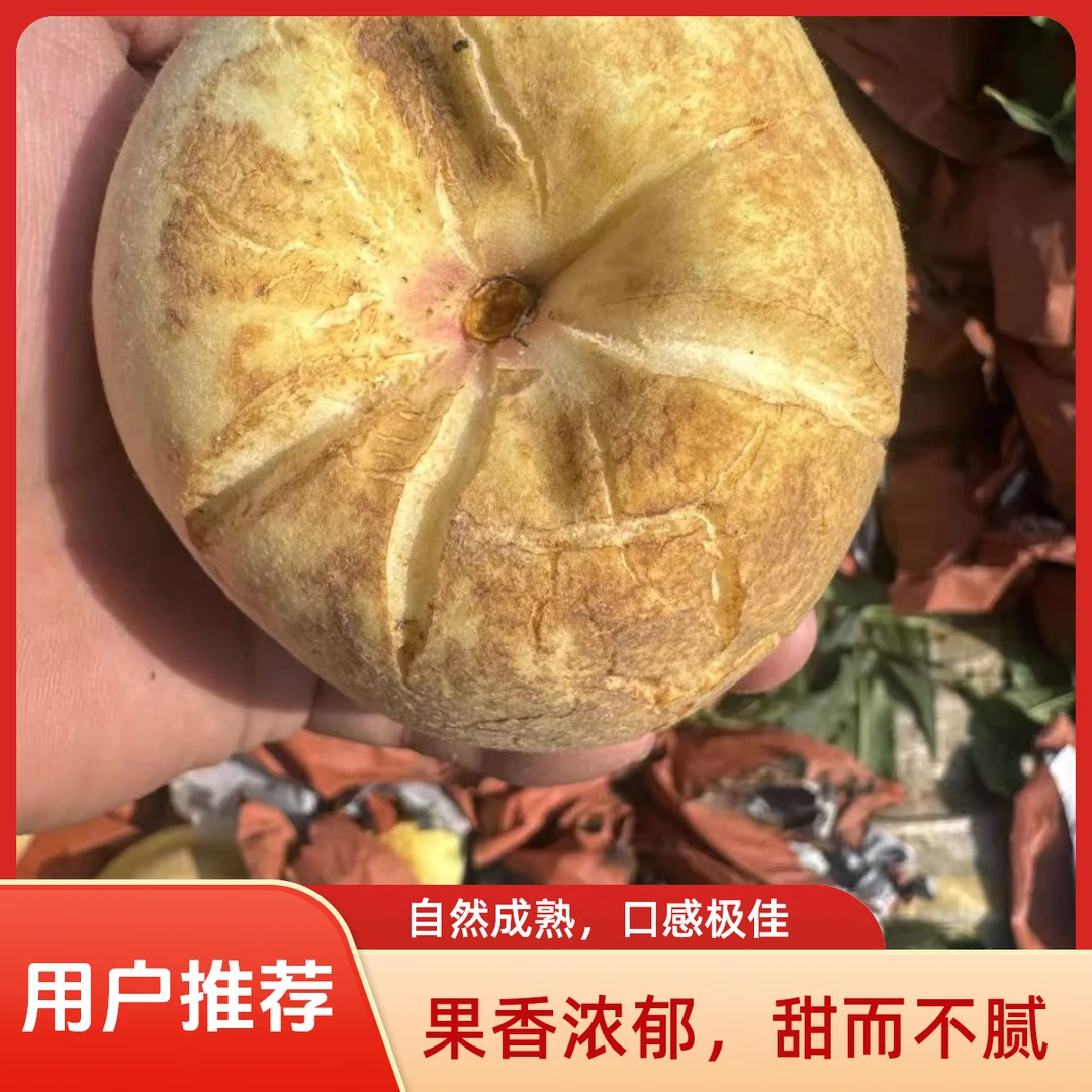 沂蒙山新鲜丑桃爆甜多汁放软后齁甜的美味水果