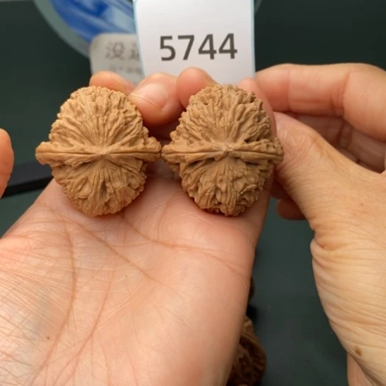 把件文玩核桃37白狮子5744