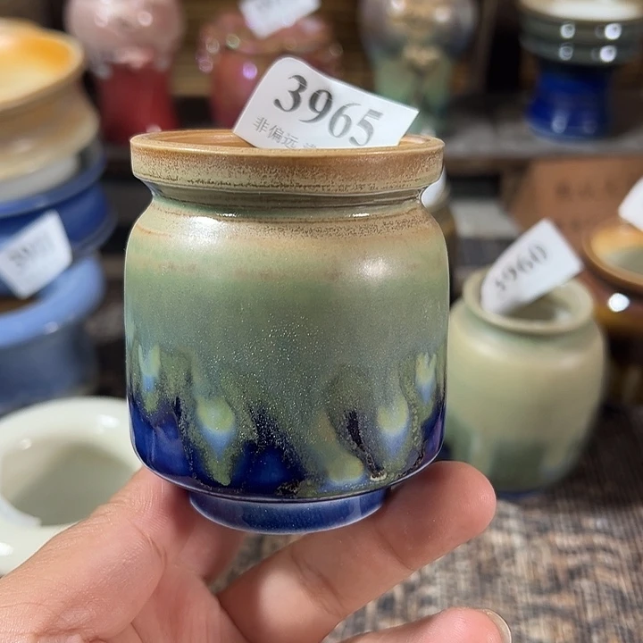 口5 手工花盆福利多多