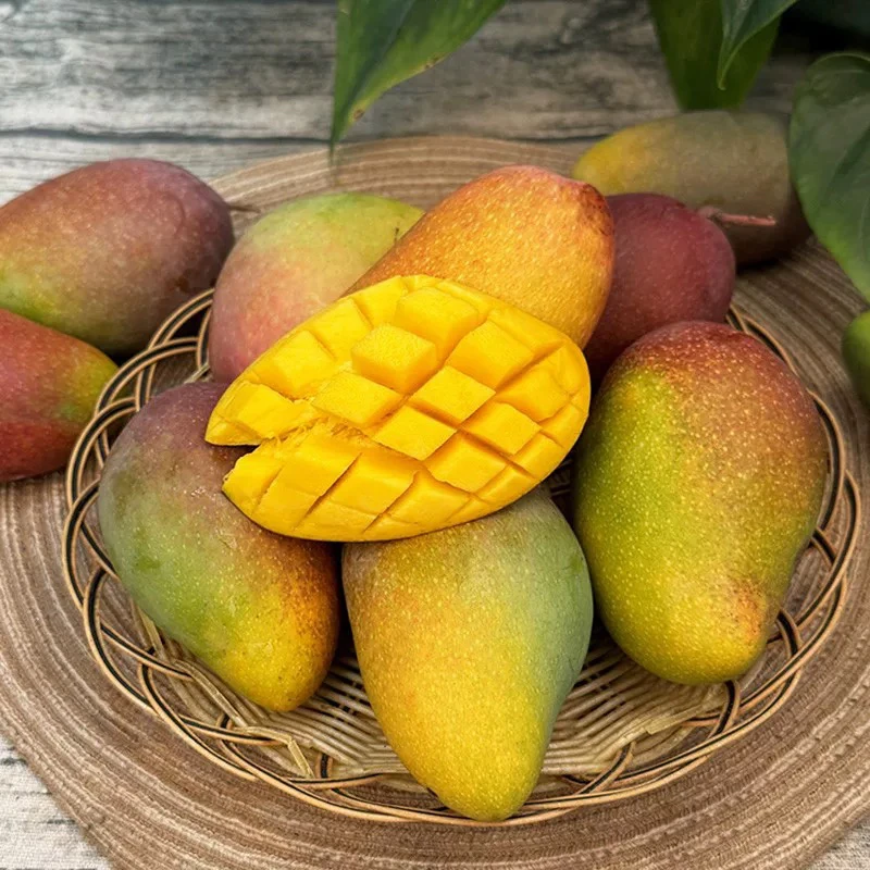 正宗海南贵妃芒果2kg净重新鲜水果整箱当季