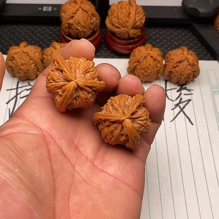 核桃手串/手链白狮子10