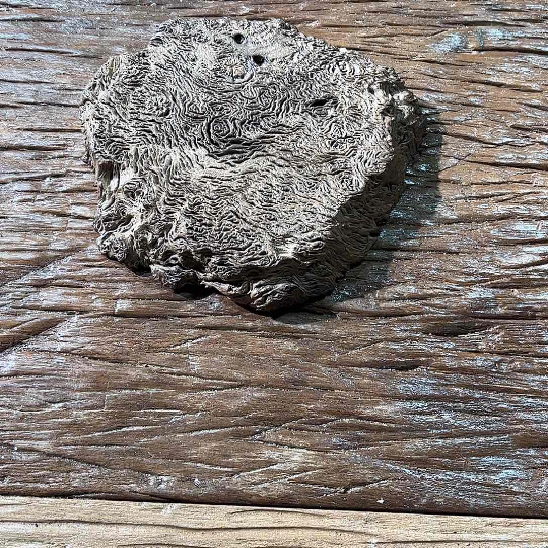 那***開有机玻璃铁栎木小件福利