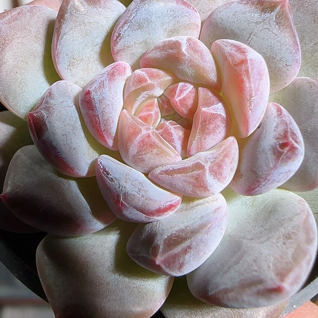 1109---09糖心糖心